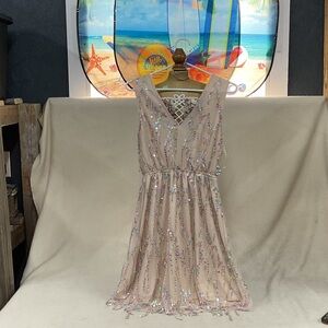 NWT Woman’s sleeveless Southern fried chics lined dress